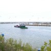 Tugs Fishing 2009