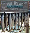 Whitecap Charters